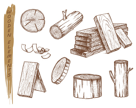 Isolated sketch of wooden elements. Set of vintage tree log and stump, hardwood chips and timber trunk, bark and sub, flinders and cork, plank. Lumberjack and firewood, fireplace and wood theme