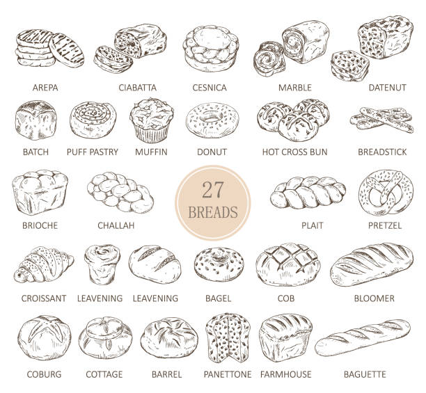 Isolated sketches of bread types Set of isolated sketches of breads. Loaf of arepa and sliced ciabatta, cesnica and muffin, donut or doughnut, hot cross bun and breadstick, challah and plait, pretzel and croissant. Food and bakery bun bread stock illustrations