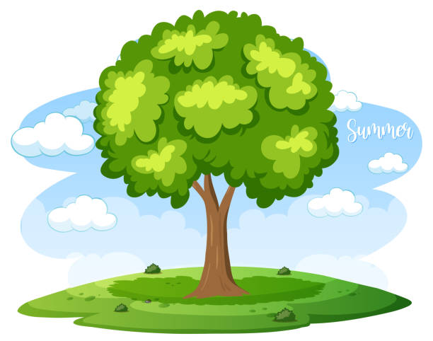 Isolated tree in cartoon style with summer word vector art illustration