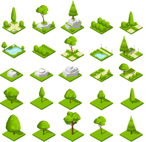 bildbanksillustrationer, clip art samt tecknat material och ikoner med isometrisk 3d natur element. skog och stad parkträd och växter. karta vektorgrafik - spruce plant