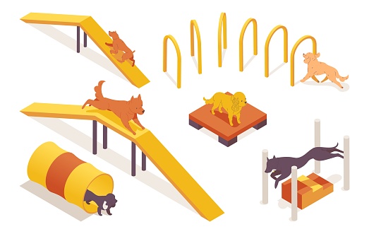 Isometric collection of dogs training on pet agility equipment elements. 3d characters running, jumping and climbing