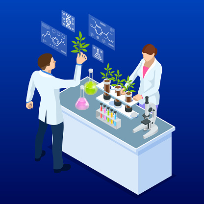 Isometric concept of laboratory exploring new methods of plant breeding and agricultural genetics. Plants growing in the test tubes.