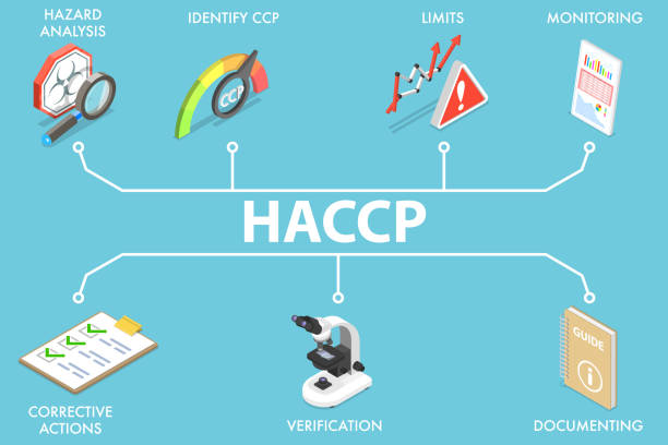 ilustrações de stock, clip art, desenhos animados e ícones de 3d isometric flat vector conceptual illustration of haccp. - haccp