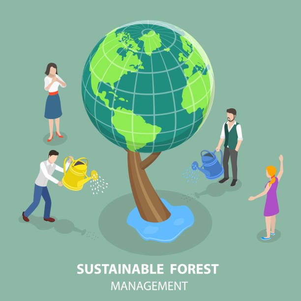 ilustrações, clipart, desenhos animados e ícones de ilustração conceitual de vetor plano isométrico 3d do manejo florestal sustentável - co2 lavoura