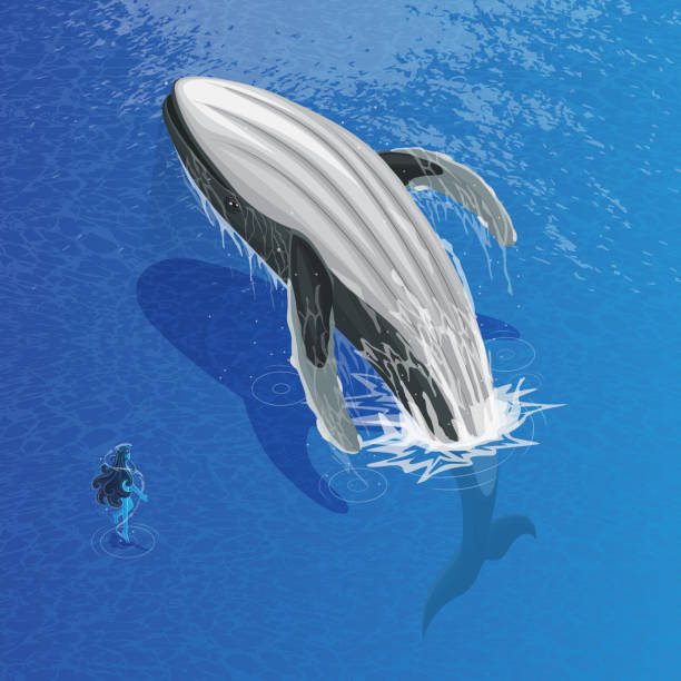 クジラ ジャンプ イラスト素材 Istock