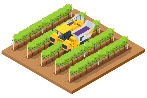 Isometric Mechanical Grape Harvester works by beating the vine with rubber sticks to get the vine to drop its fruit onto a conveyor belt that brings the fruit to a holding bin. Agricultural work