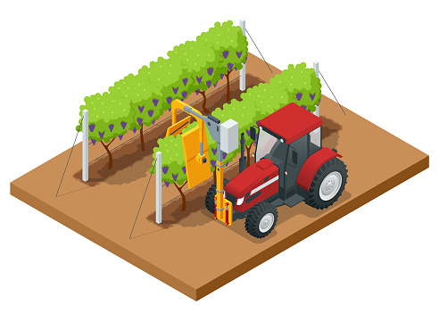 Isometric Mechanical Grape Harvester works by beating the vine with rubber sticks to get the vine to drop its fruit onto a conveyor belt that brings the fruit to a holding bin. Agricultural work