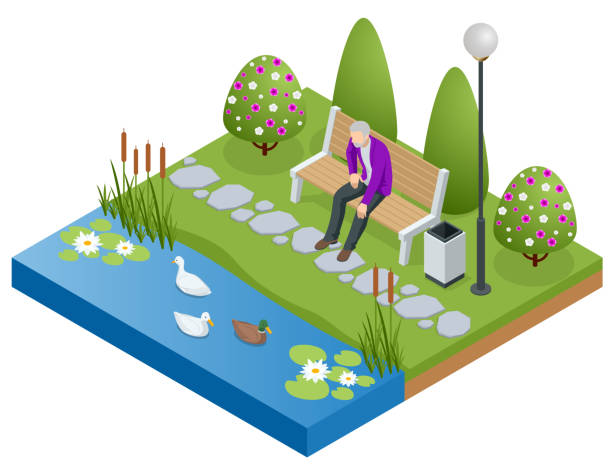Isometric old man, senior relaxing and walking in the park near the lake. Active and healthy relaxation. Isometric old man, senior and walking in the park near the lake. Active and healthy relaxation duck pond stock illustrations