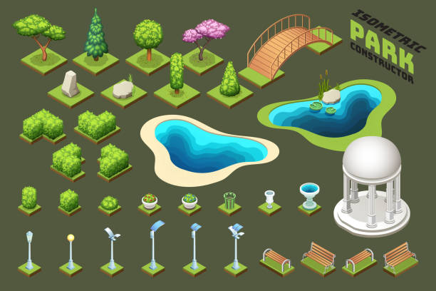 ilustrações, clipart, desenhos animados e ícones de construtor parque isométrica. conjunto de diferentes árvores, arbustos e outros objetos do parque. - tree 3d