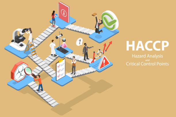 ilustrações de stock, clip art, desenhos animados e ícones de 3d isometric vector concept of hazard analysis and critical control points - haccp