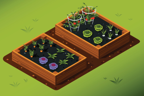 Isometric Vegetable Garden