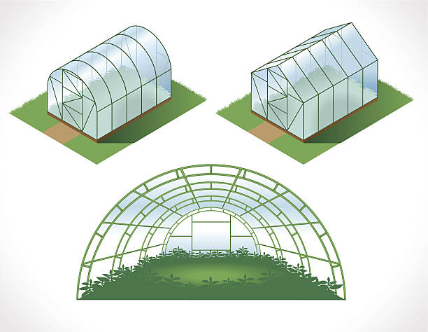 isometry greenhouses color picture of different greenhouses. drawing in the isometry greenhouse stock illustrations