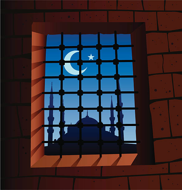 bildbanksillustrationer, clip art samt tecknat material och ikoner med istanbul and night - istanbul blue mosque skyline