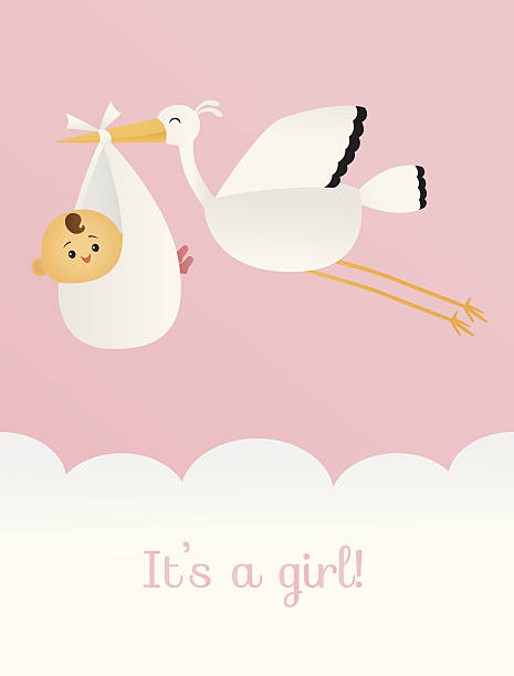 It's a Girl A vector illustration of a stork carrying a bundle of joy. Stork and baby are grouped together. Text is on a separate layer, making it easy to remove. Linear and radial gradients used. No meshes. it's a girl stock illustrations