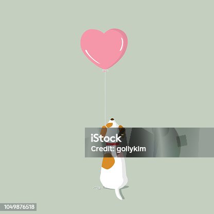 istock Jack Russell Terrier puppy with pink heart shape helium balloon 1049876518