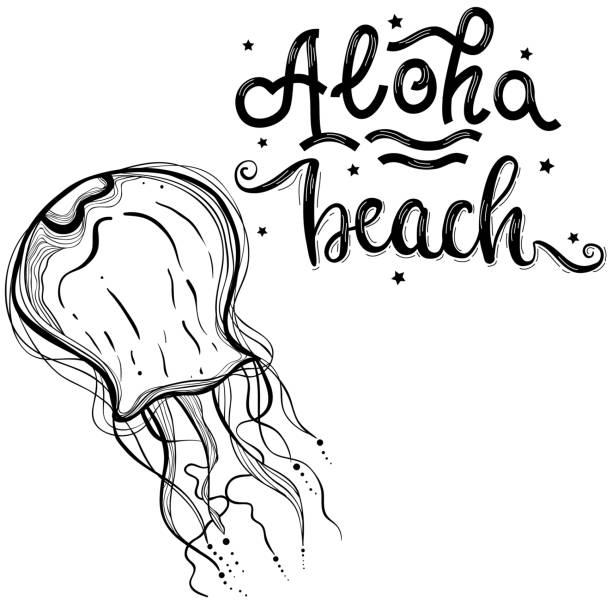 illustrazioni stock, clip art, cartoni animati e icone di tendenza di illustrazione vettoriale medusa in stile tattoo art. frase scritta a mano "spiaggia di aloha". - meduza