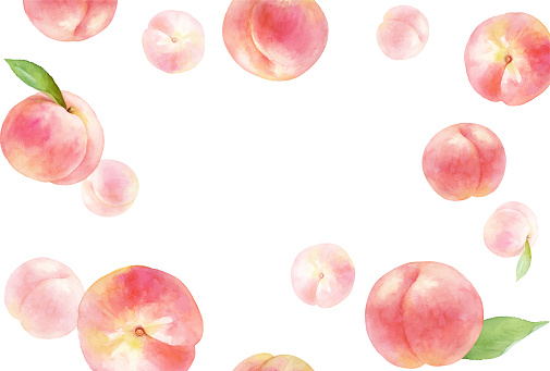 Juicy peach background. Watercolor illustration trace vector. There is copy space. Layout can be changed.