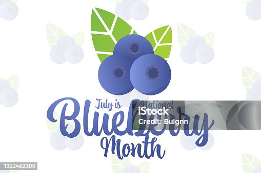 istock July is National Blueberry Month. Holiday concept. Template for background, banner, card, poster with text inscription. Vector EPS10 illustration. 1322462300