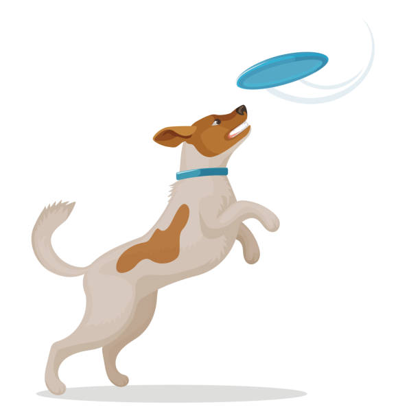 Jumping dog is catching a blue frisbee disc Jumping dog is catching a blue frisbee disc Vector frisbee stock illustrations