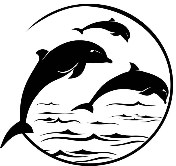 Jumping Dolphins Logo vector art illustration