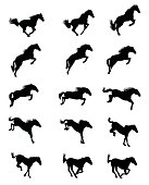 Silhouette Horse jumping