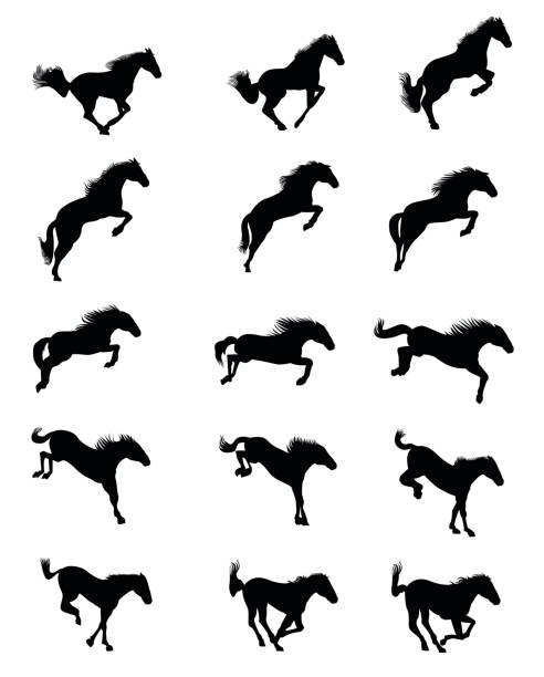 bildbanksillustrationer, clip art samt tecknat material och ikoner med hoppning häst - hinder häst