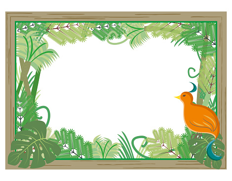 Jungle frame with wild bird