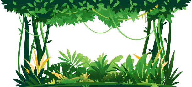 정글 식물 국소 숲 고립 된 템플릿 - 무성한 묘사 stock illustrations