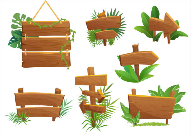 illustrations, cliparts, dessins animés et icônes de jungle rainforest bois signe avec feuilles tropicales avec un espace pour le texte. illustration vectorielle jeu de dessin animé. - panneau