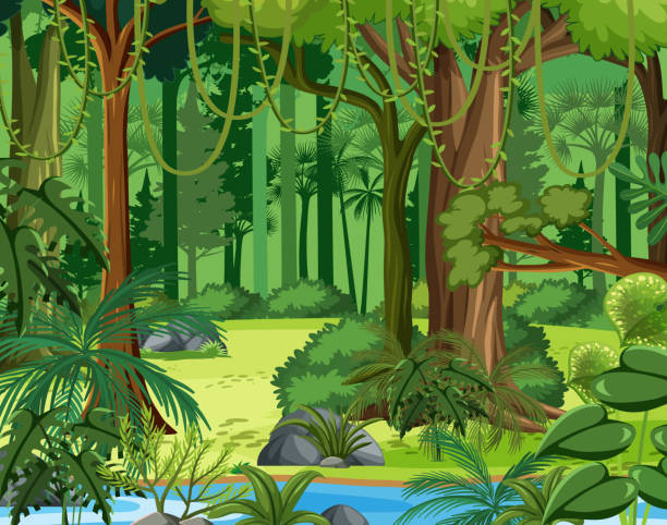 9,695 Rainforest Clipart Illustrations & Clip Art - iStock