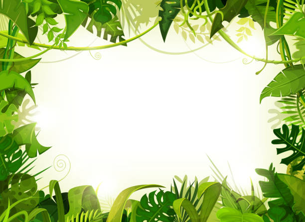 Jungle Tropical Landscape Background Illustration of a jungle landscape background, with ornaments made with leaves and foliage of tropical plants and trees backgrounds borders stock illustrations