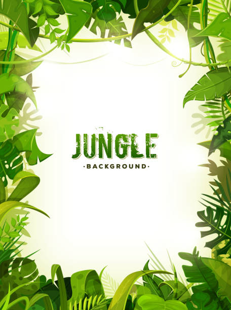 Jungle Tropical Leaves Background Illustration of a jungle landscape background, with ornaments made with leaves and foliage of tropical plants and trees landscape scenery borders stock illustrations