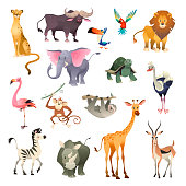 Jungle wild animals. Savannah forest animal bird safari nature africa tropical exotic forest marine mammals, cartoon vector set