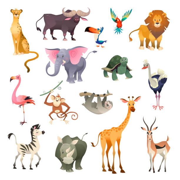 정글 야생 동물입니다. 사바나 숲 동물 조류 사파리 자연 아프리카 열 대 이국적인 숲 해양 포유류, 만화 세트 - 동물 stock illustrations