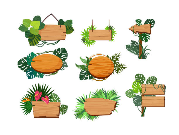 illustrations, cliparts, dessins animés et icônes de ensemble de planches en bois de jungle - panneau signalisation