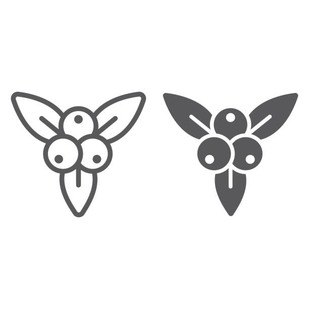 Juniper berry line and glyph icon, branch and growth, plant sign, vector graphics, a linear pattern on a white backgrond. Juniper berry line and glyph icon, branch and growth, plant sign, vector graphics, a linear pattern on a white backgrond, eps 10. may flowers stock illustrations