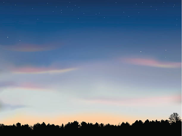 Just after Sunset with Tree Line Background Vector background of sunset just after the sun went down. Gradient mesh used in sky. Tree line and stars on separate layers. dusk stock illustrations