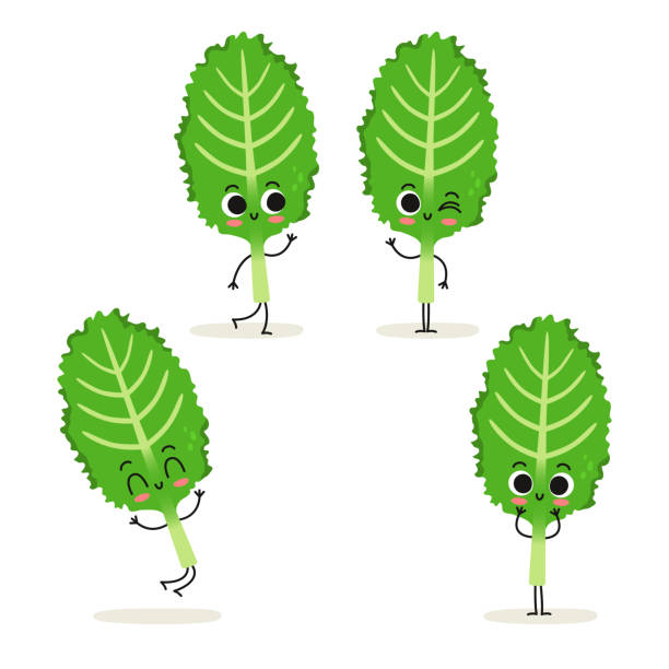 292 kale cartoons illustrations clip art istock