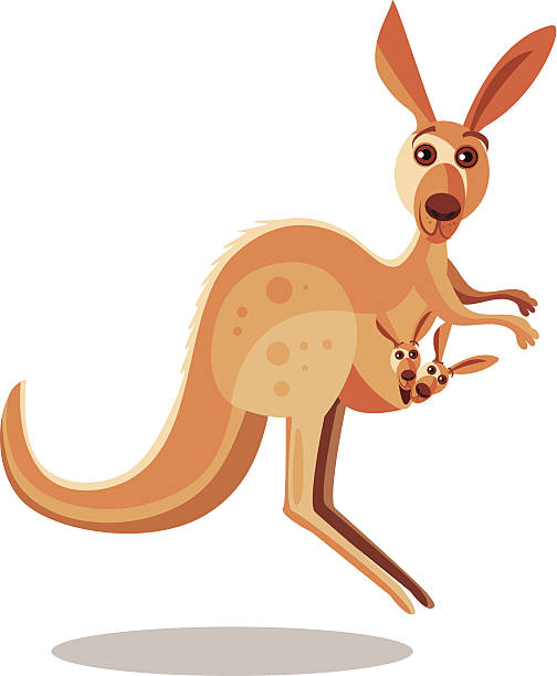 kangaroo and baby Vector illustration kangaroo and baby kangaroo stock illustrations