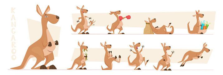 Kangaroo characters. Wildlife australian animals standing and jumping exact vector kangaroo in action poses