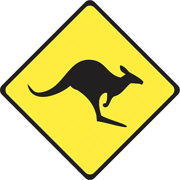 Kangaroo Crossing Sign Kangaroo crossing sign on a stripped fluorescent placard. kangaroo stock illustrations