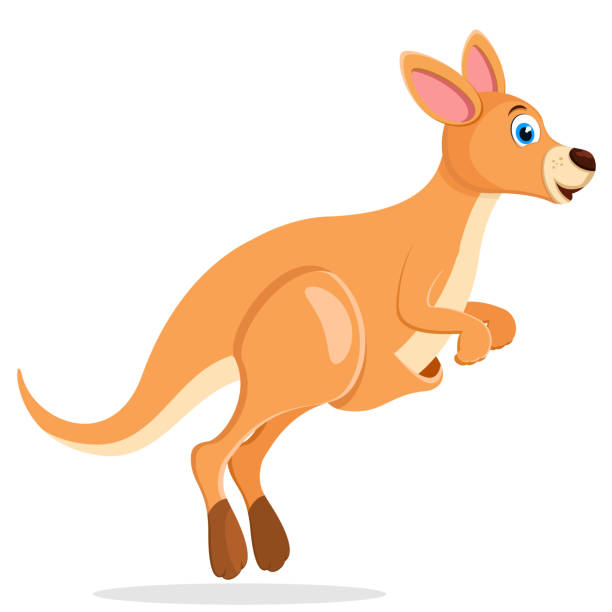 Kangaroo jumps and smiles on a white background. Kangaroo jumps and smiles on a white background. Character kangaroo stock illustrations