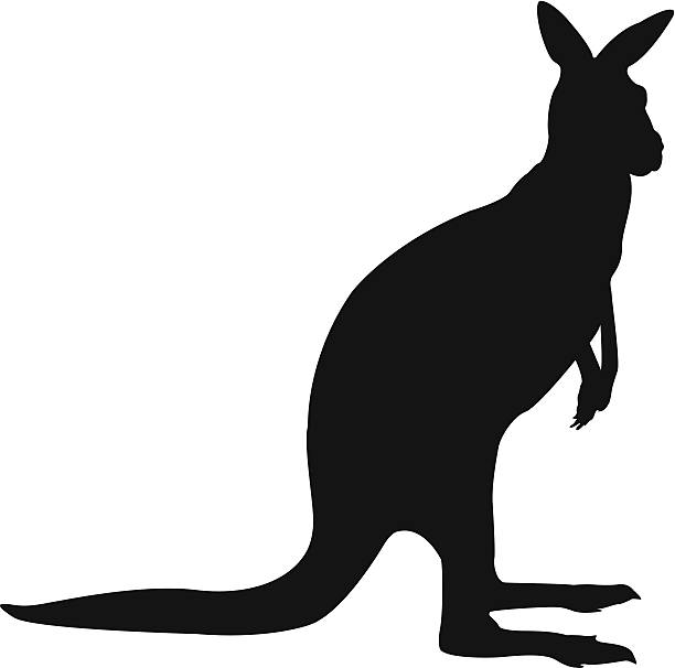 Kangaroo silhouette vector file of kangaroo silhouette kangaroo stock illustrations