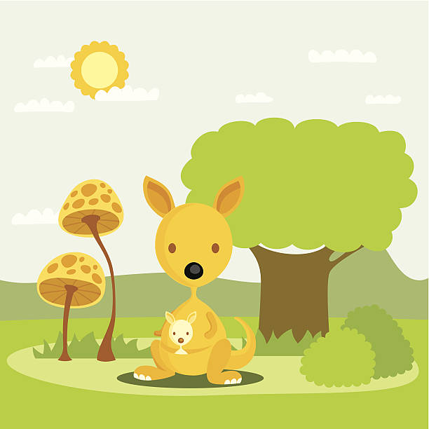kangaroo vector art illustration