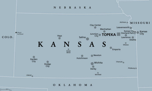 Kansas, KS, gray political map, US state, The Sunflower State Kansas, KS, gray political map, with the capital Topeka and largest cities. State in the Midwestern United States of America, nicknamed The Sunflower State, or also The Wheat or The Jayhawker State. olathe kansas stock illustrations