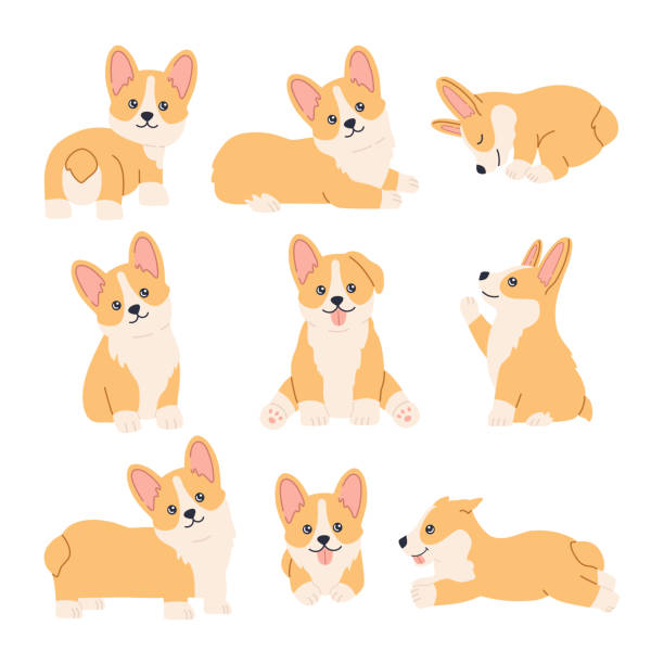 Kawaii corgi stickers set, happy little fun pets vector art illustration