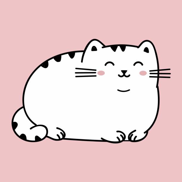 Best White Fat Cat Drawing Illustrations, Royalty-Free Vector Graphics