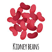 istock Kidney beans for template farmer market design, label and packing. Natural energy protein organic super food. 1333772655
