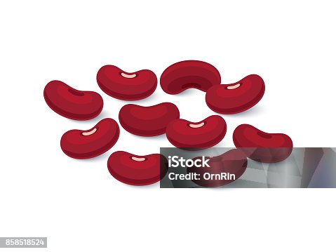 istock Kidney beans, Red beans Flat design 858518524
