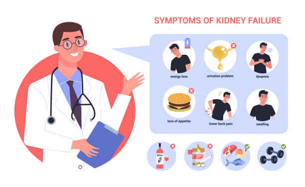 Kidney failure infographic. Symptoms and prevention. Idea of medical treatment. Kidney failure infographic. Symptoms and prevention. Idea of medical treatment. Urology, internal human organ. Healthy body. Vector illustration in cartoon style diabetes symptoms stock illustrations